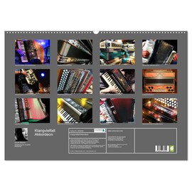 Sound Variety Accordion (Wall Calendar 2026 DIN A2 Landscape), CALVENDO Monthly Calendar: Concert and Close-up Pictures of Various Accordions (CALVENDO Art)