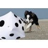 CCINEE Jumbo Dice Giant 50CM Big Beach Ball Jumbo Dice