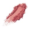 Napoleon Perdis Color Disc 2.5g, Queen of The Night