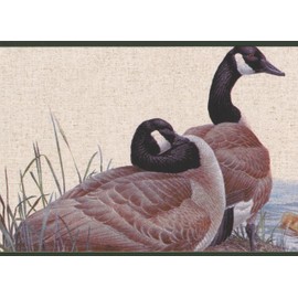 Duck Duckling on The Lake Shore Vintage Wallpaper Border Retro Design, Roll 15' x 7''