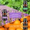 Aceites Esenciales de Aromaterapia 12PCS,100% Natural, para Difusores