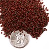 Pisces Pros Betta Bites Fish Food (2.5 oz)