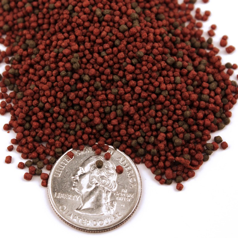 Pisces Pros Betta Bites Fish Food (2.5 oz)