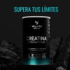 Creatina Monohidratada Micronizada Polvo Alta Pureza Certificada Scoop Dosificador Creatine