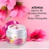 Crema Facial Rosa Mosqueta Vitamina E Manchas Anti Edad Pak