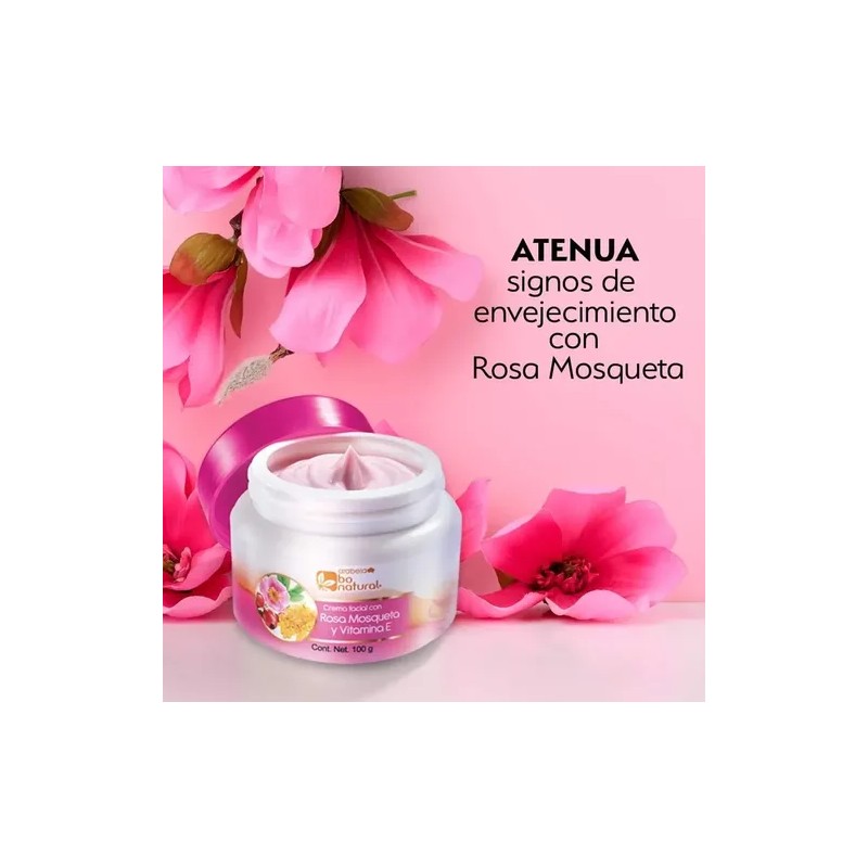Crema Facial Rosa Mosqueta Vitamina E Manchas Anti Edad Pak