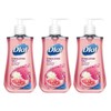 Dial Liquid Hand Soap Himalayan Pink Salt & Water Lily