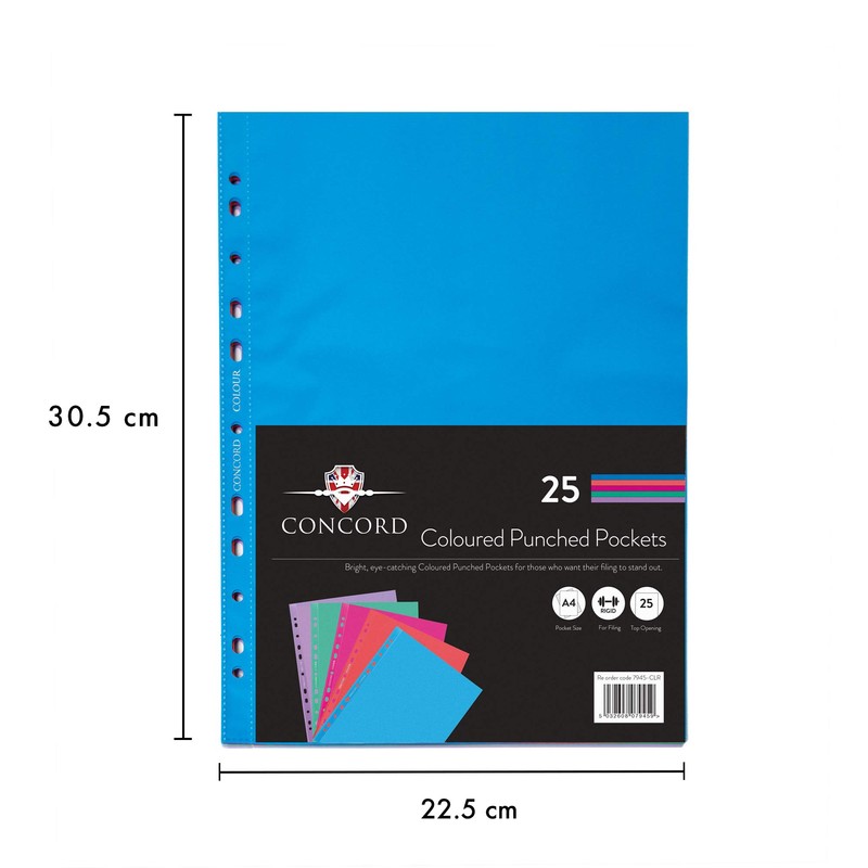 Pukka Pad, Concord A4 Coloured Punched Pockets – 1 Pack