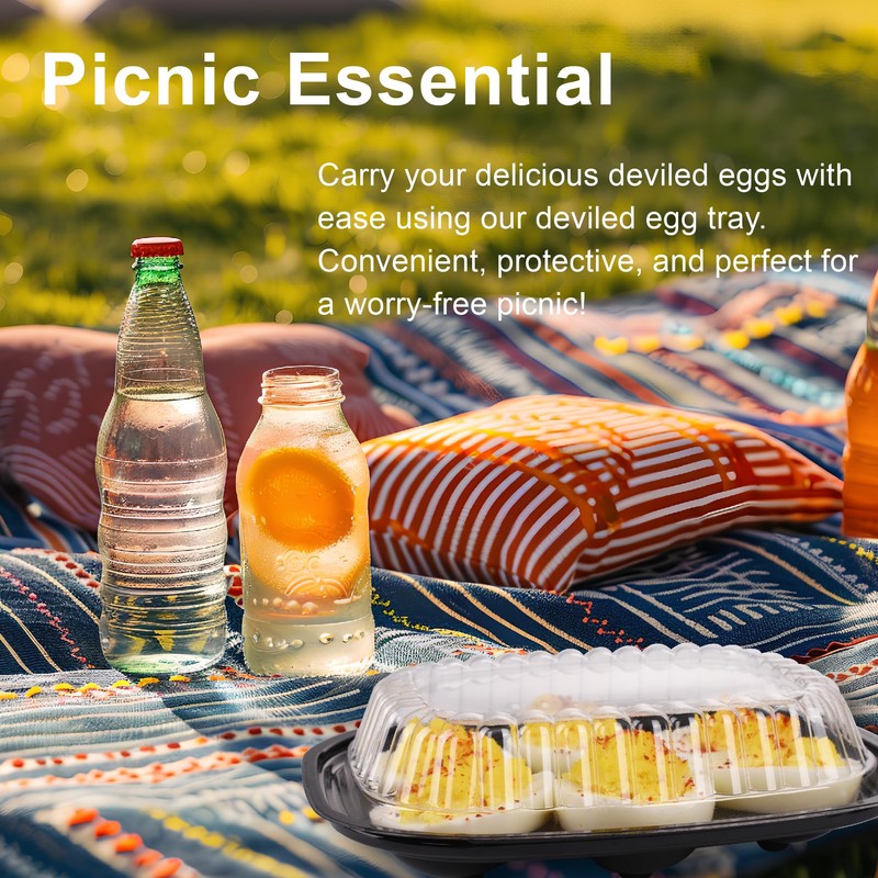 Gorander Plastic Deviled Egg Food Tray Six Egg Halves with