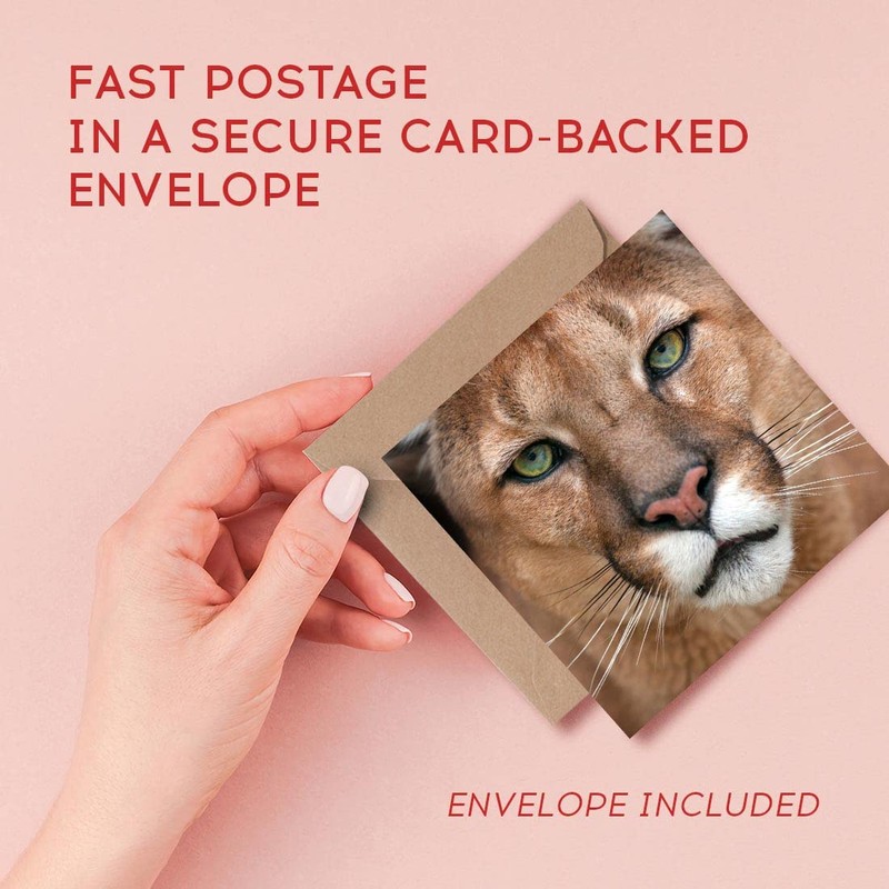 1 x Greeting Card Stunning Puma Wild Animals - Blank
