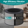 PuriCare 360 Filter Compatible with LG PuriCare 360 Purifier, AS560DWR0
