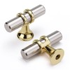 Leulan 10 Pack Kitchen Cabinet Knobs Brushed Nickel and Gold