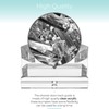 Shuisen Sliding Shower Door Bottom Guide with Screw for 3/8