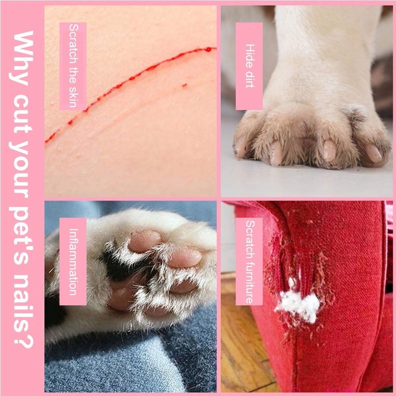 TopE Professional Pet Nail Trimmer with Safety Guard to Avoid