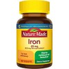Nature Made Iron 65 mg (325 mg Ferrous Sulfate) Tablets,
