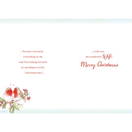 Regal Publishing Christmas Card To my Wonderful Wife 2 Robins - 9 x 6 inches