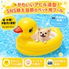 Pet Float, Pet Pool, 2-Way, Shampoo, Foldable, Bathtub, Duck, Water