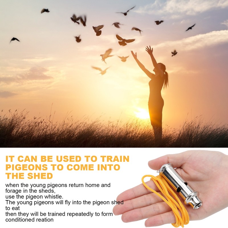 Stainless Steel Ultrasonic Pigeon Whistle with Lanyard for Dog Bird