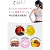 Fanfare Risou Coffee (Diet Support Coffee / 30 sachets) Functional