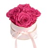 Rosmarie Schulz Heidelberg Rose Box, White Round Infinity Rose, Flower
