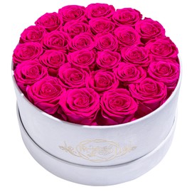 Valentines Day Gifts for Her, Flowers for Delivery Prime - 27-Piece Roses in a Luxury Suede Box - Real Preserved Flowers - Birthday Gifts for Women - Mothers Day, Christmas (Hot Pink)
