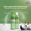 Cap Lang Minyak Kayu Putih Cap Lang Original 15ML/30ML/60ML/210ML