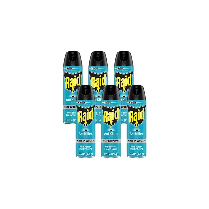 Raid Ant Killer Spray Pine Forest,17.5 Ounce (Pack of 6)