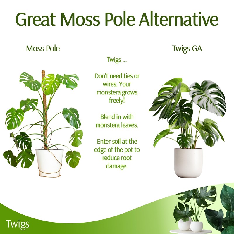 Twigs GA - Stackable Monstera Plant Support Stakes, Climbing Support