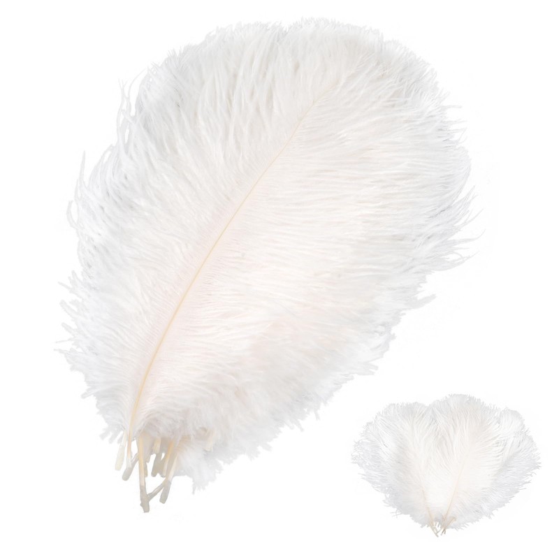 20 pcs Ostrich Feathers, Natural Feathers Plume, 8-10 Inch Craft