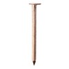 TIMco COP230MB Copper Clout Nails 30 x 2.65 - (0.5kg