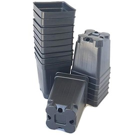 100-2.5 inch Square DEEP Black Plastic Nursery pots seedlings Plants Landmark