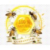 Airborne (New Zealand) Thyme Honey 500g / 1.1lbs