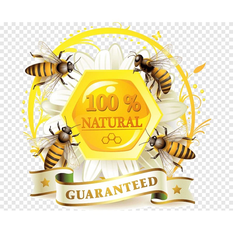 Airborne (New Zealand) Thyme Honey 500g / 1.1lbs
