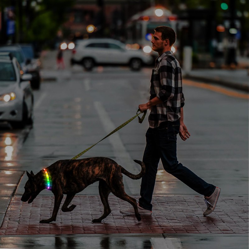 TRIPOLACO Light Up Dog Collar - Multicolor LED Dog Collar