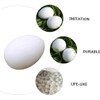 10pcs Solid Parrot Plastic Fake Eggs Realistic Simulated Fake Bird