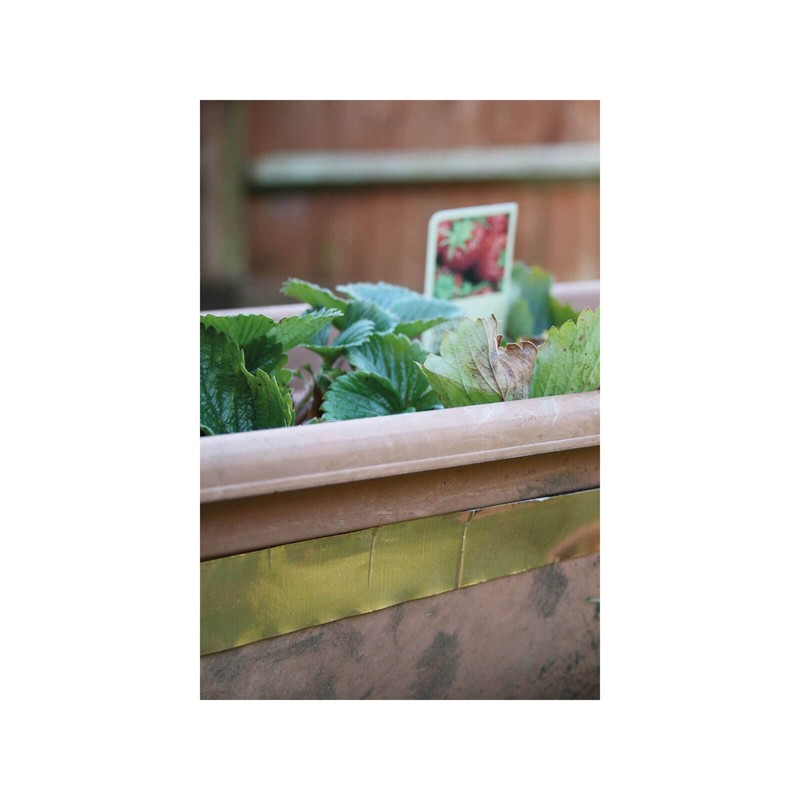 Rentokil R.KIL SLUG&SNAIL BARRIER TAPE 4M