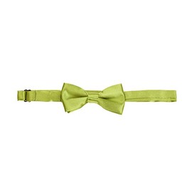 The Tie Co™ Children's Pre-tied & Adjustable Satin Solid Colour Classic Plain Bow Tie Kids (Apple Green)
