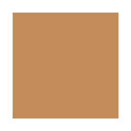 Mac Studio Fix Powder Plus Foundation 15g For Her- NC55