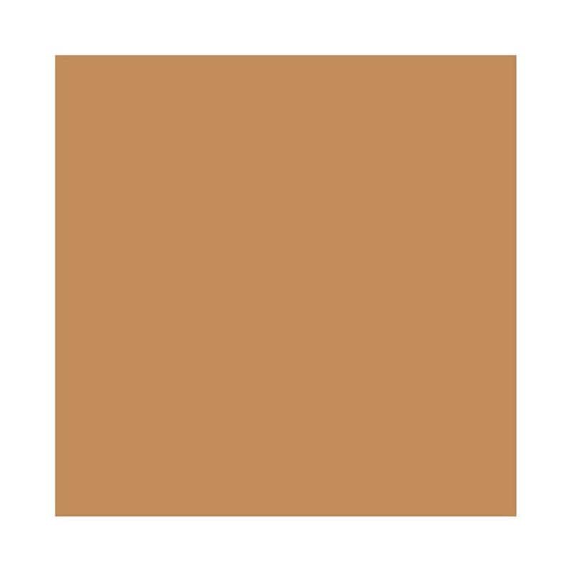 Mac Studio Fix Powder Plus Foundation 15g For Her- NC55
