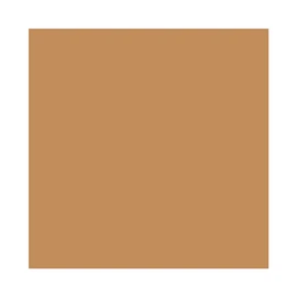 Mac Studio Fix Powder Plus Foundation 15g For Her- NC55