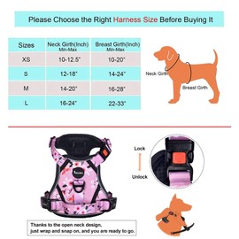 Petmolico No Pull Dog Harness and Leash Set, No Choke 4 Leash Attchments Easy Control Handle Soft Padded Reflective Vest Dog Harness for Medium Dog Breed, Pink Plum Medium