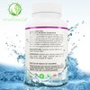 Max Absorption USDA Organic Milk Thistle Potent 5:1 Concentrated Extract