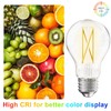 TJOY 6 Pack A19 Vintage LED Edison Bulbs, Dimmable Light
