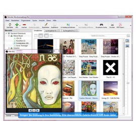 Stecotec Musikverwaltung Pro: CD- und Schallplatten-Sammlung am PC verwalten, Musikverwaltungsprogramm, Musikverwaltungssoftware, Verwaltung, Musiksammlung / Musik ordnen, sortieren & organisieren