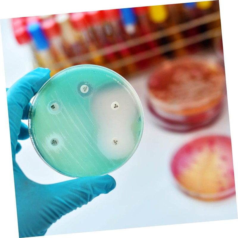 Tofficu 10pcs Cell Culture Plate Agar Plates Mycology Petri Dishes