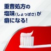 カムテクト 歯ぐきケア 歯周病(歯肉炎・歯槽膿漏) 予防 歯磨き粉 2本 【医薬部外品】+歯ブラシ付き