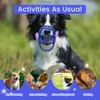 OKKIC Basket Muzzle Allows Panting Drinking - Anti Biting Chewing,