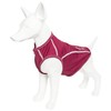Pet Life ® Active 'Racerbark' 4-Way Stretch Performance Active Dog