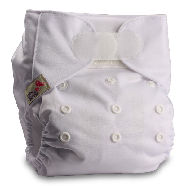 Littles & Bloomz, Reusable Pocket Cloth Nappy, Fastener: Hook-Loop, Set