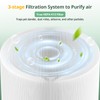 isinlive 411i & 411a Max Replacement Filter, HEPA & Activated